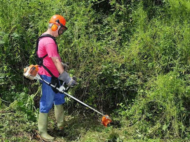 JASA POTONG RUMPUT HALAMAN
