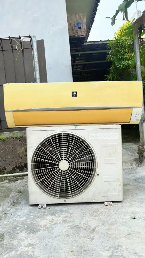 AC Sharp 1 PK normal
