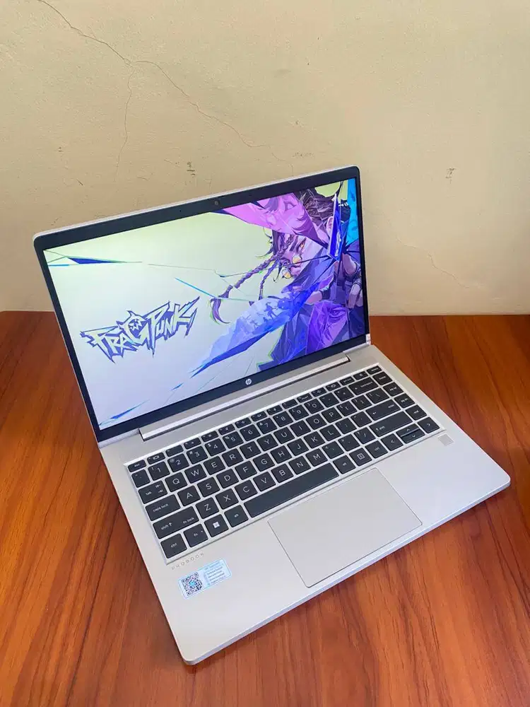 HP ProBook 445 G8 Ryzen 5 5600U | RAM 16GB | SSD NVMe 256GB