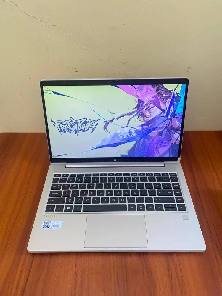 HP ProBook 445 G8 Ryzen 5 | Laptop Premium Silver | SSD 256GB