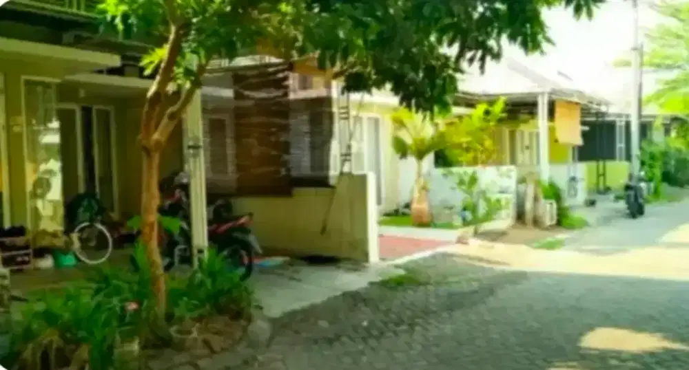 Sewa / Jual Rumah 500 jutaan dekat Surabaya