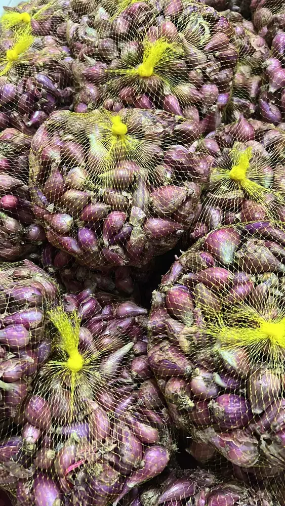 Bawang Merah Brebes Super