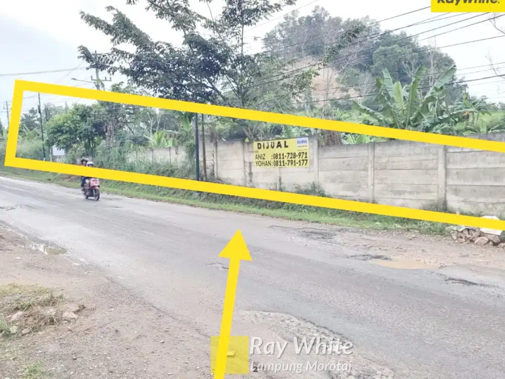 Dijual Tanah Di JL. Pangeran Tirtayasa, Campang Raya, Bandar LAmpung (Kode : Ay 3578)