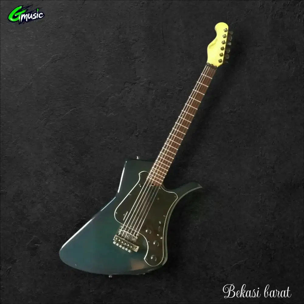 Gitar Hofner German