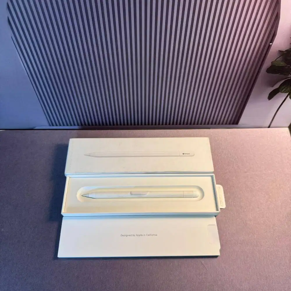 Apple Pencil USB-C Original Resmi Inter