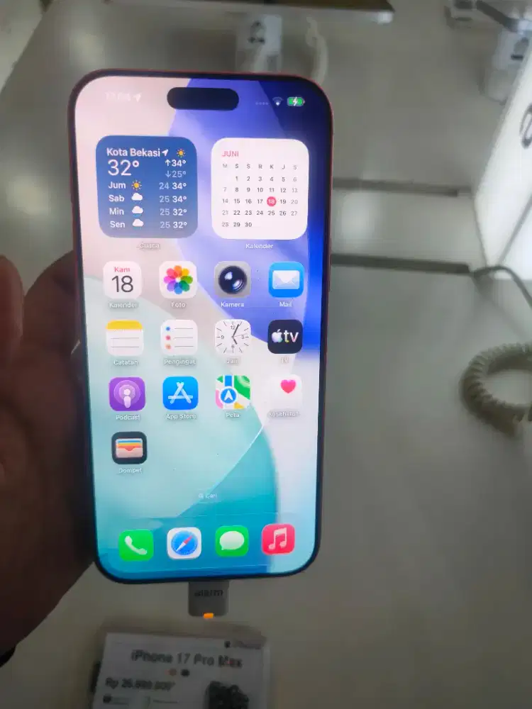 IPHONE 17 PRO MAX BUNGA RINGAN