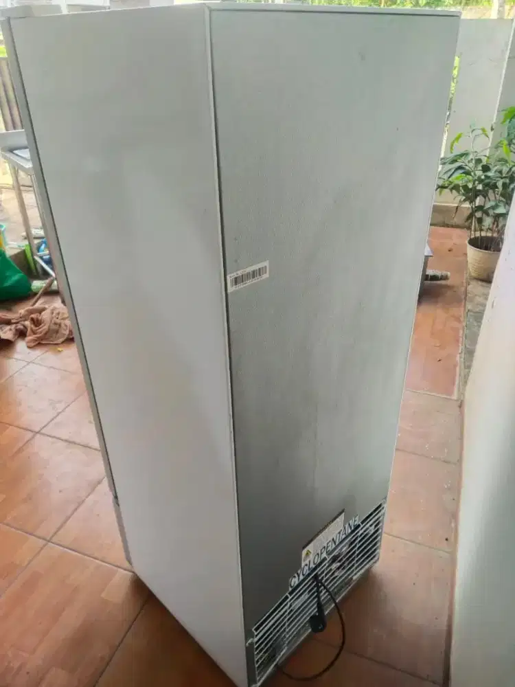 Gea expo 26fc showcase chiller