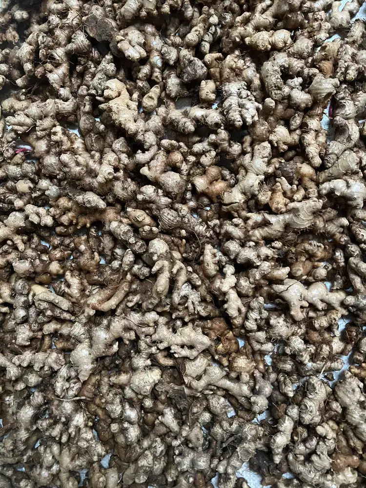 Jahe Emprit Murah 1kg