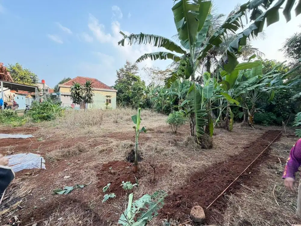 Dijual tanah murah cocok untuk berkebun