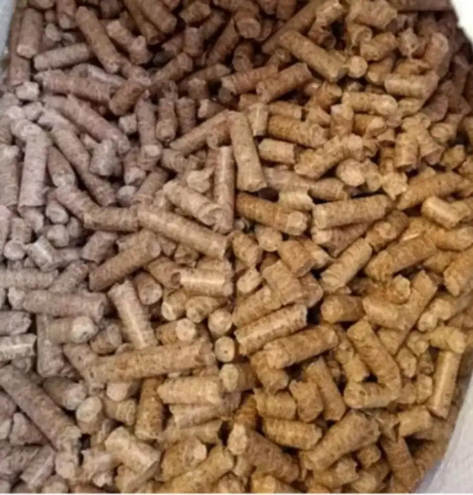 Pelet kayu pengganti pasir kucing