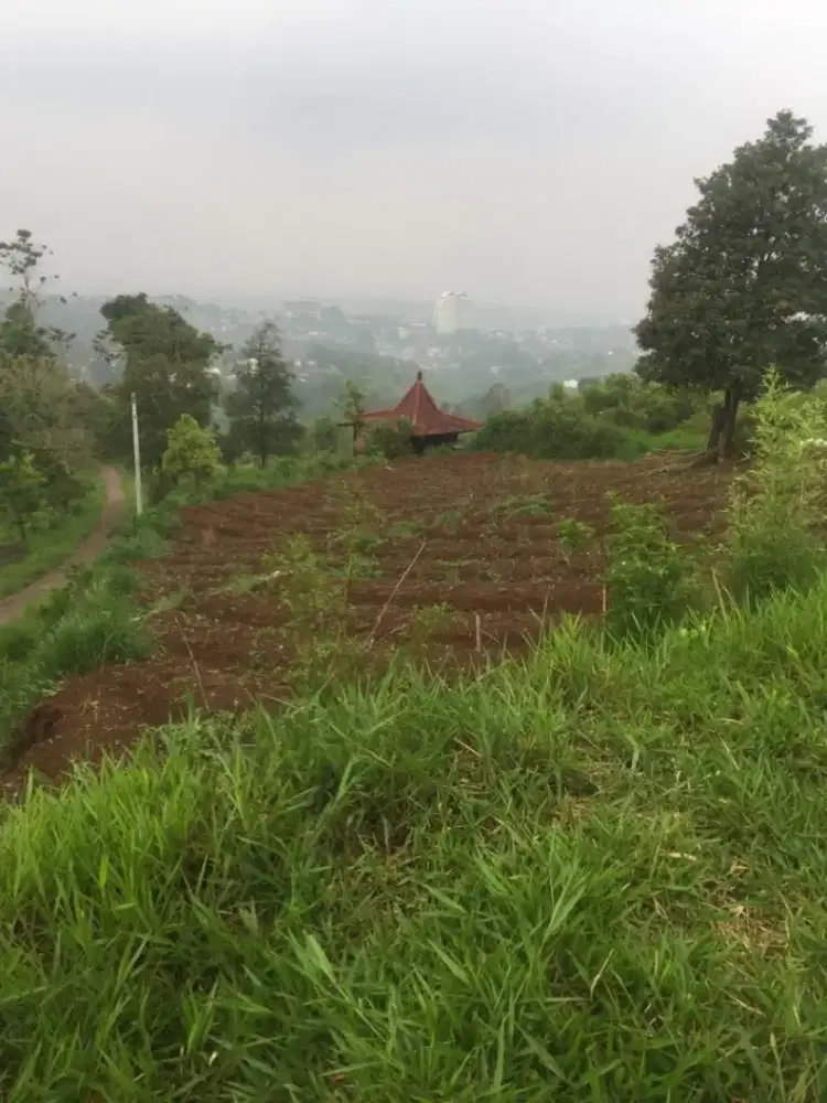 Tanah pagerwangi dago