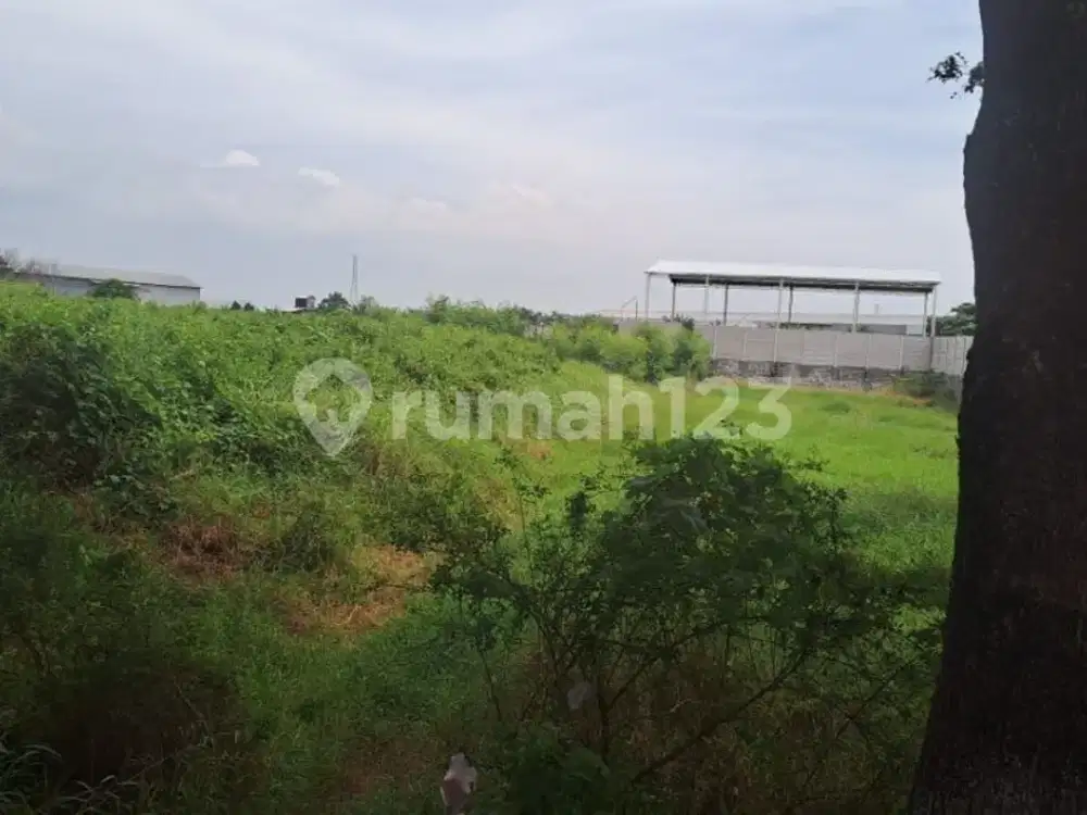 Jual Tanah Pekarangan Di Kab Kudus