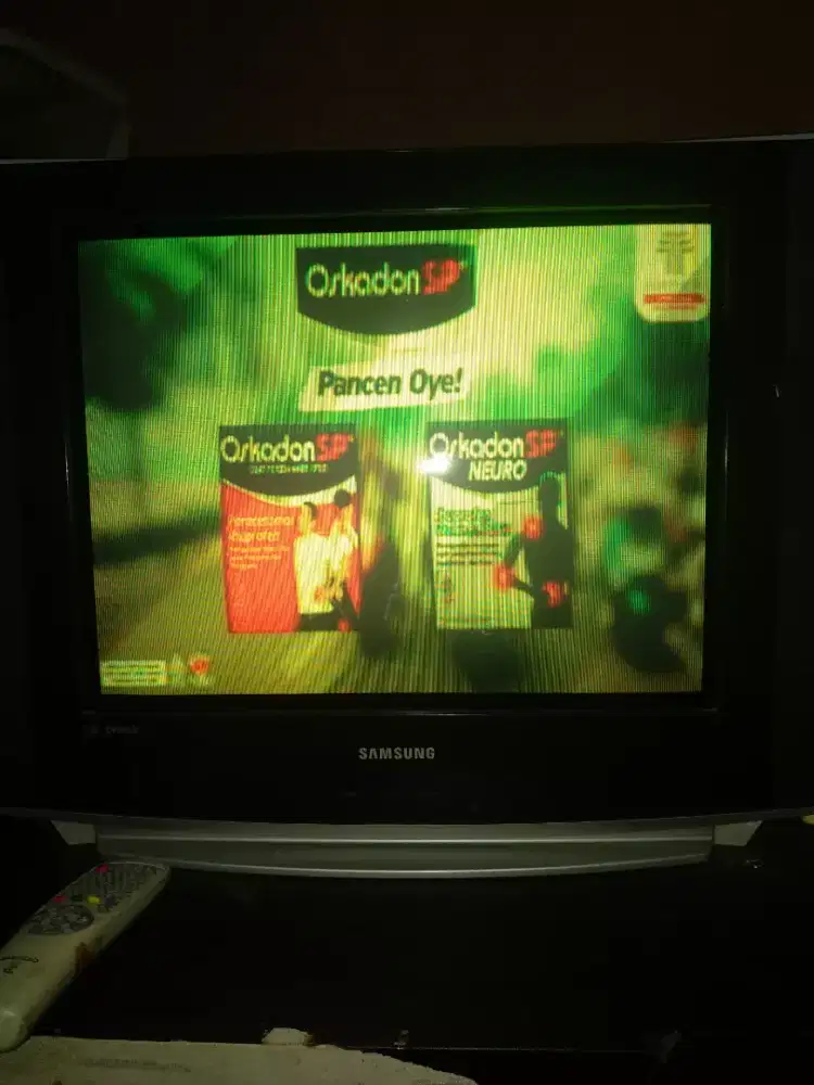 Tv Samsung 21 inch slim tabung