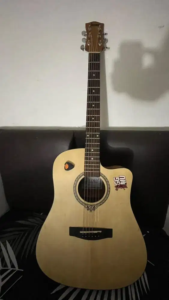 Gitar Akustik Dluxe DW 110