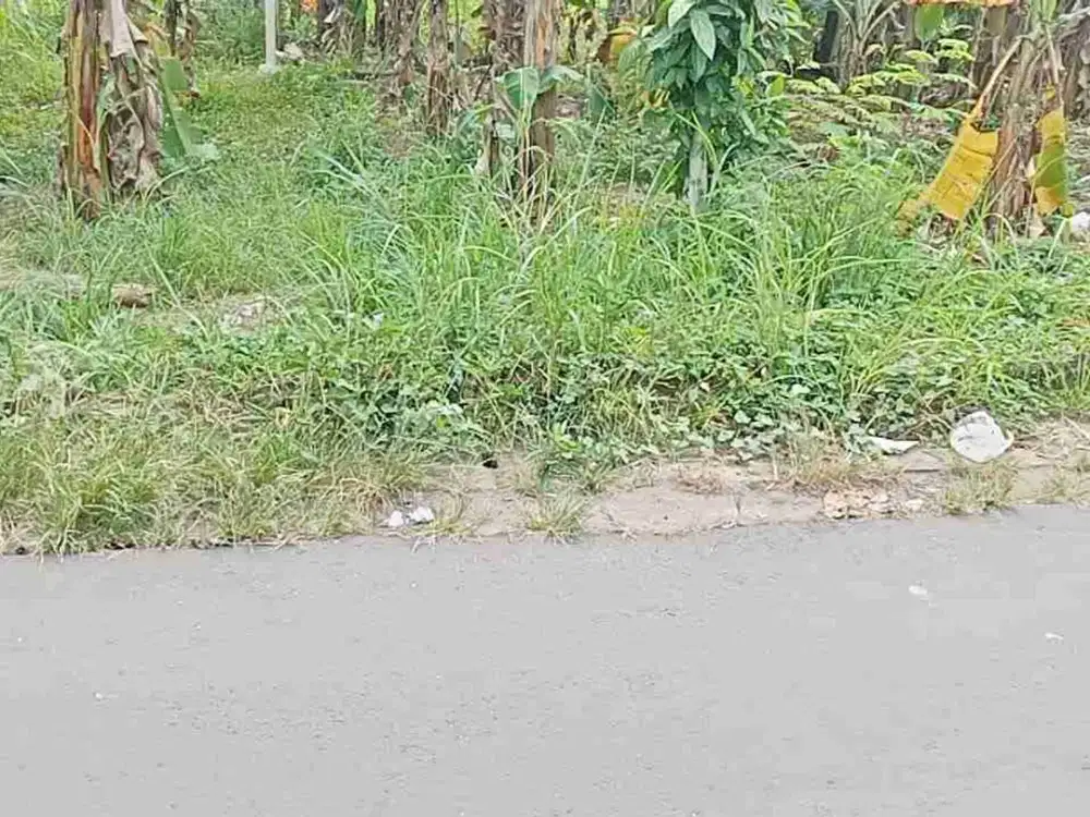 dijual cepat tanah kosong strategis pinggir jalan kelurahan baktijaya pocis Tangsel