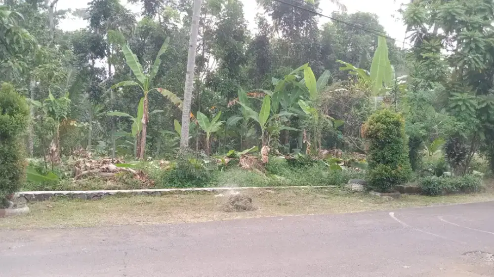 Tanah nempel aspal sangat bagus shm siap bangun dikota semarang
