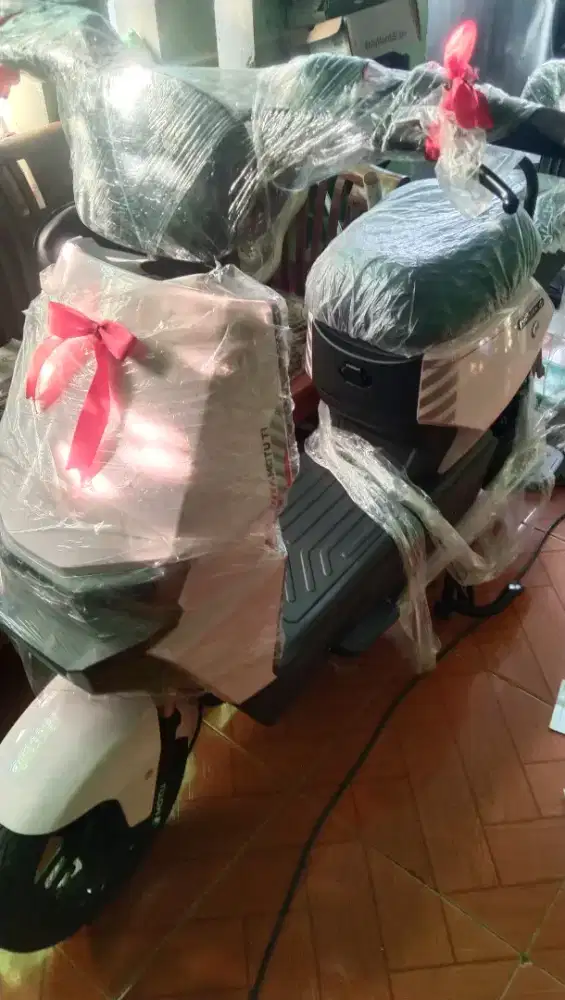 Sepeda Listrik Motu T1