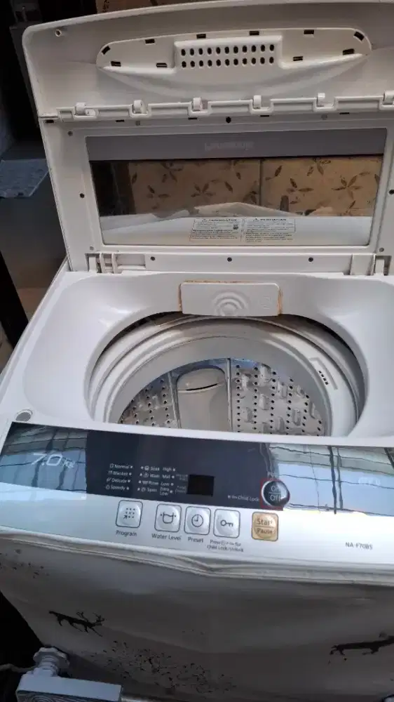 Panasonic top loading
