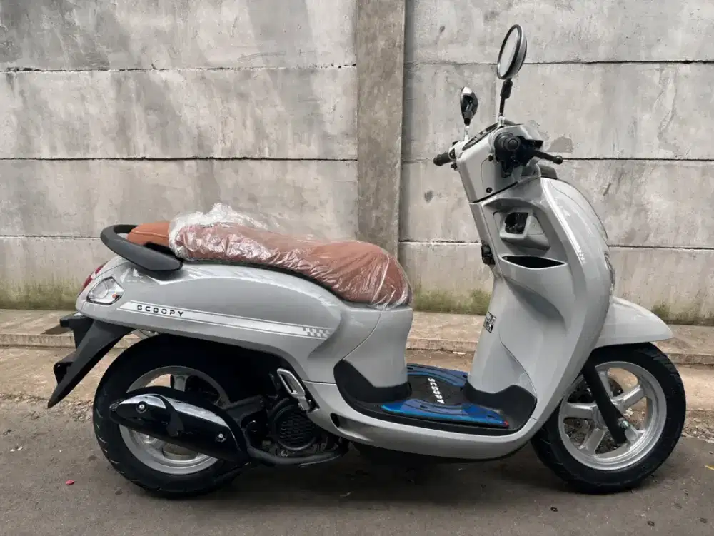 HONDA SCOOPY STYLISH