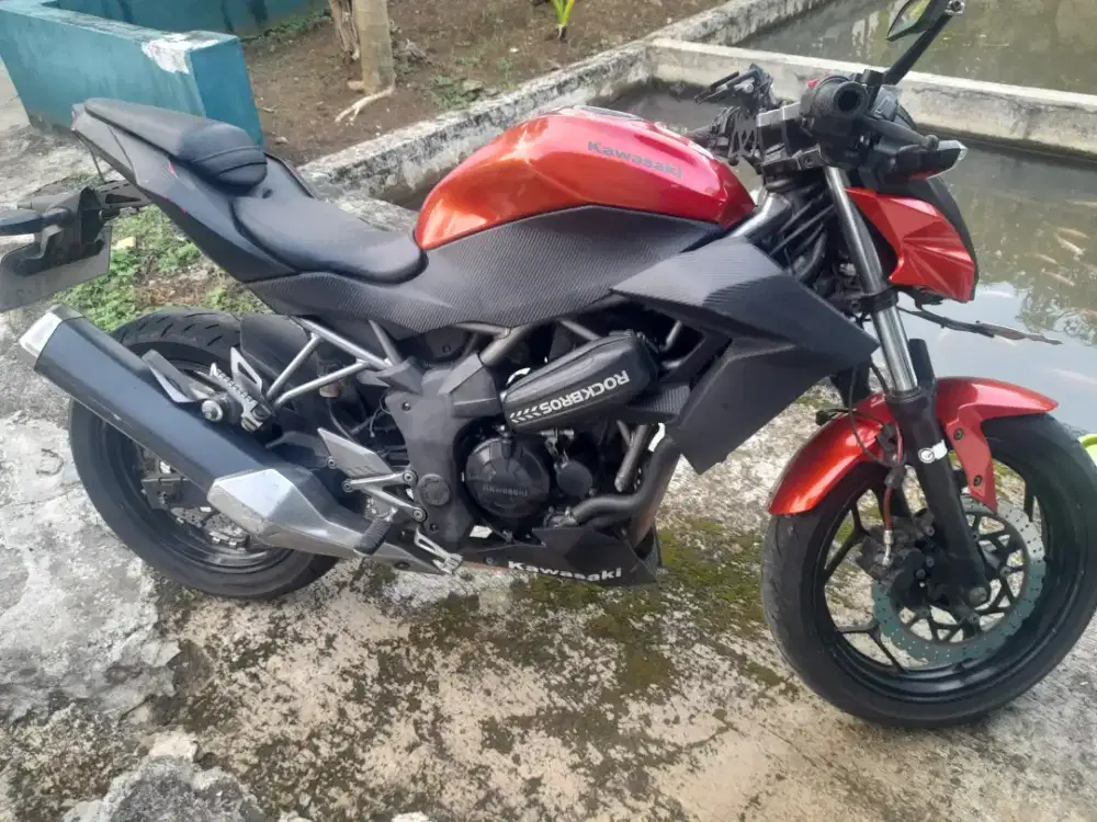 Kawasaki Z250 sl