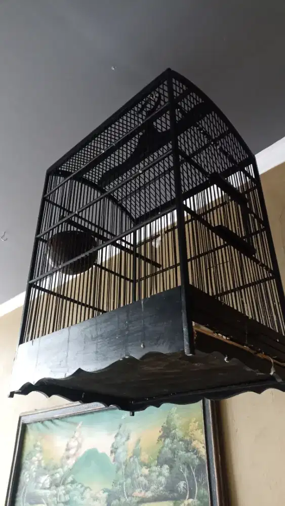 Dijual sangkar burung masih bagus
