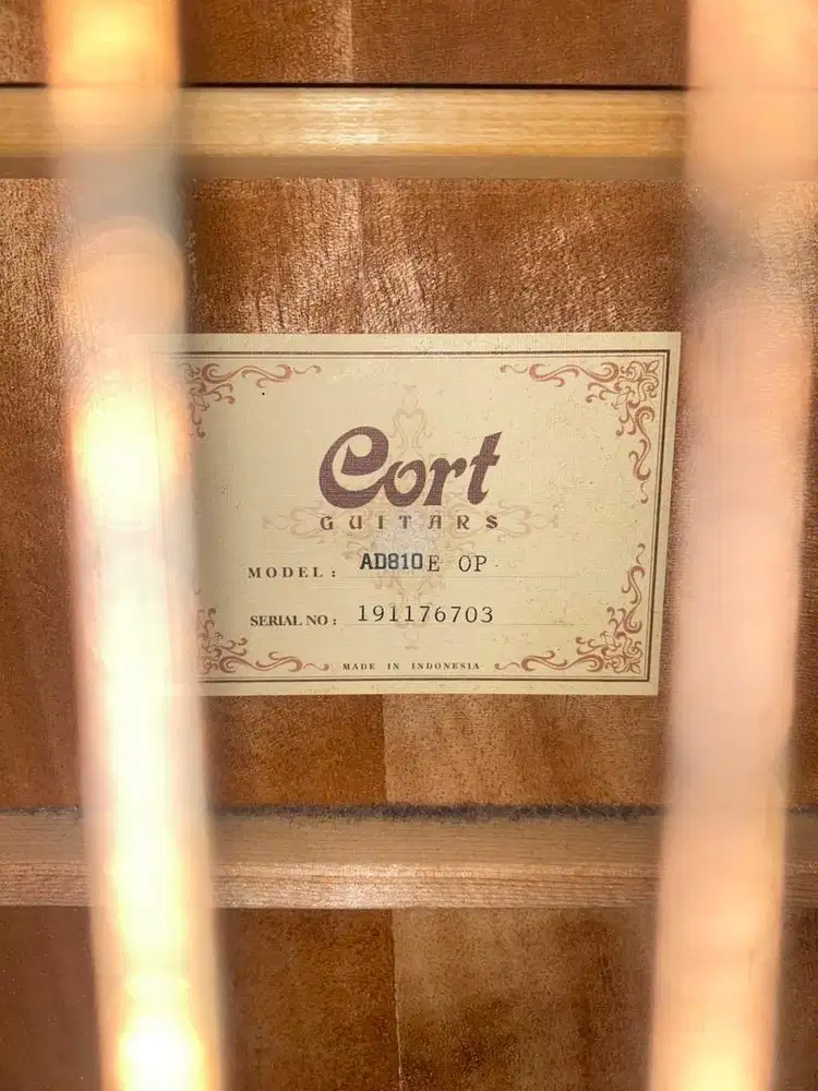 Gitar akustik Cort AD810E OP