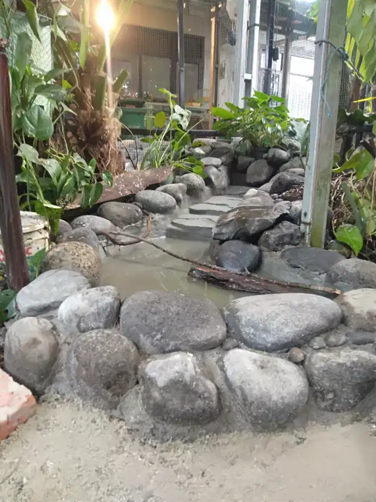 Kolam Aviari dan jasa pembuatan taman Aviari