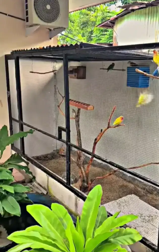 Aviari dan jasa pembuatan taman Aviari