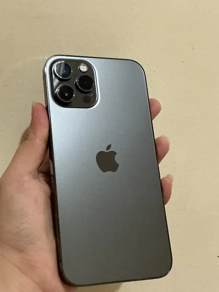 12 PROMAX 128GB warna Graphite (ex inter)