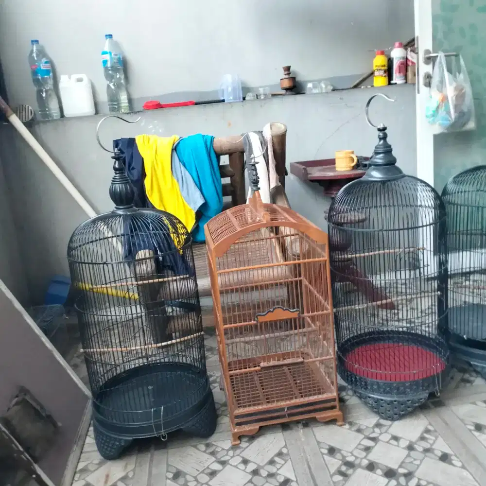 Kandang LB 4 pcs dan kandang kotak no 3