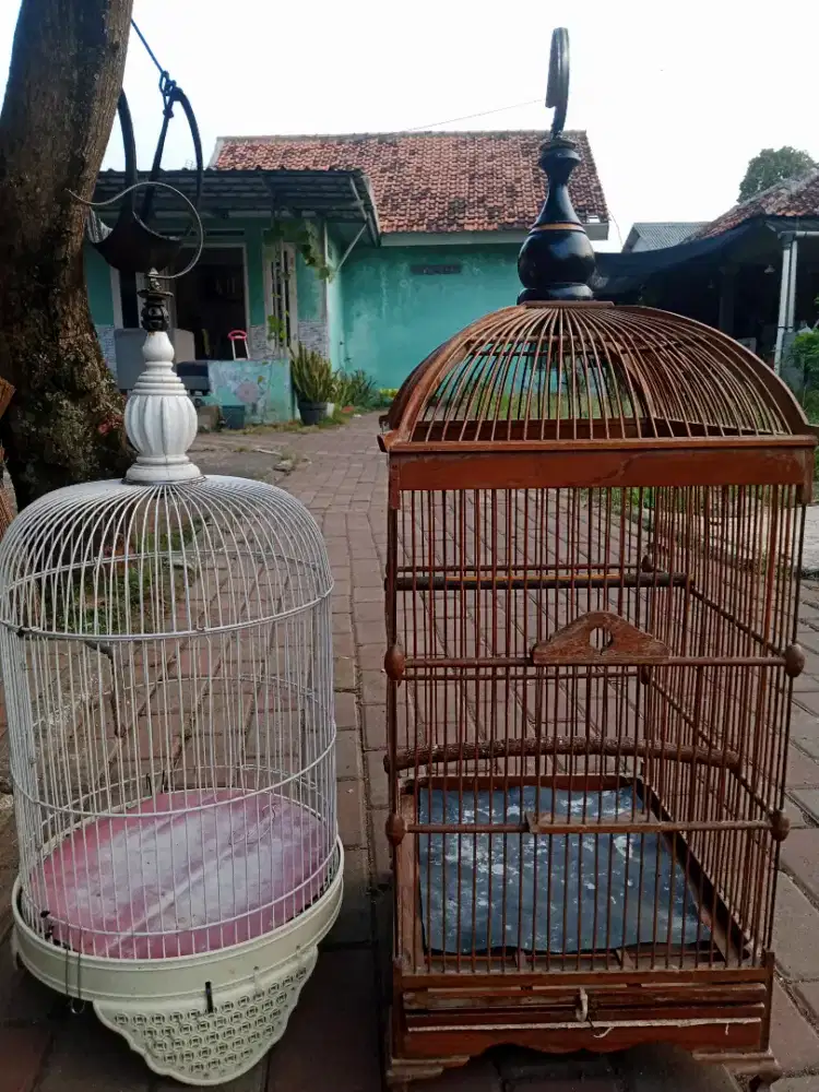 Kandang burung murah