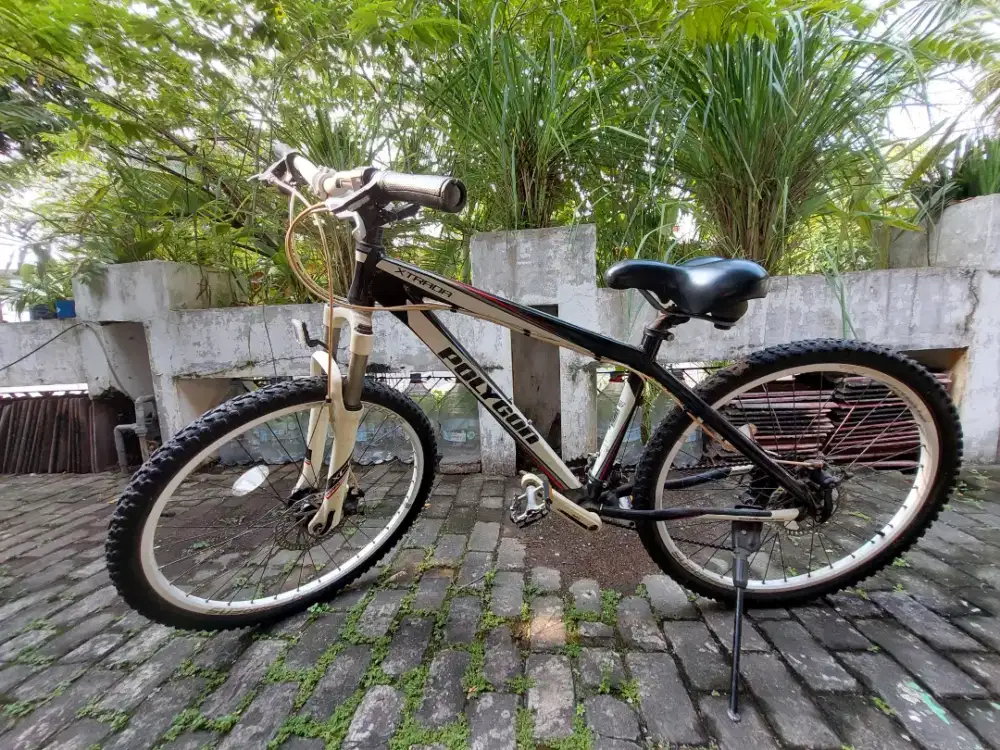 Sepeda gunung merk polygon