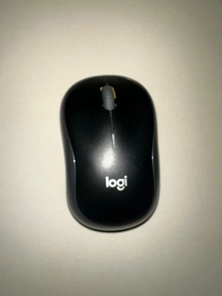 Mouse Logitech B175