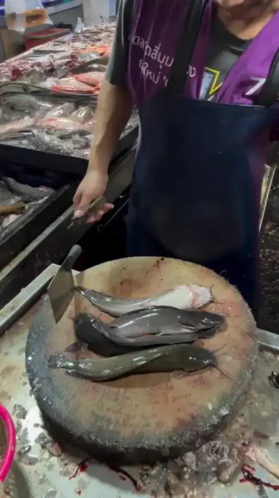 Lowongan jaga Lapak Ikan Lele Nila Mas Gurame