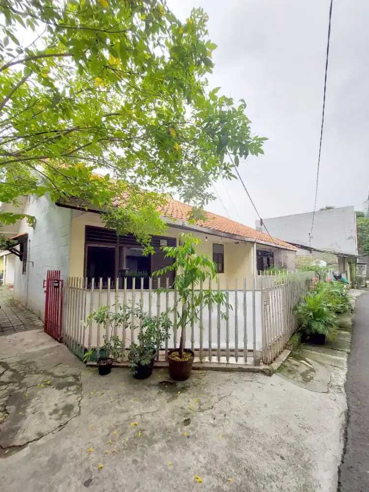 Dikontrakan Rumah Asri