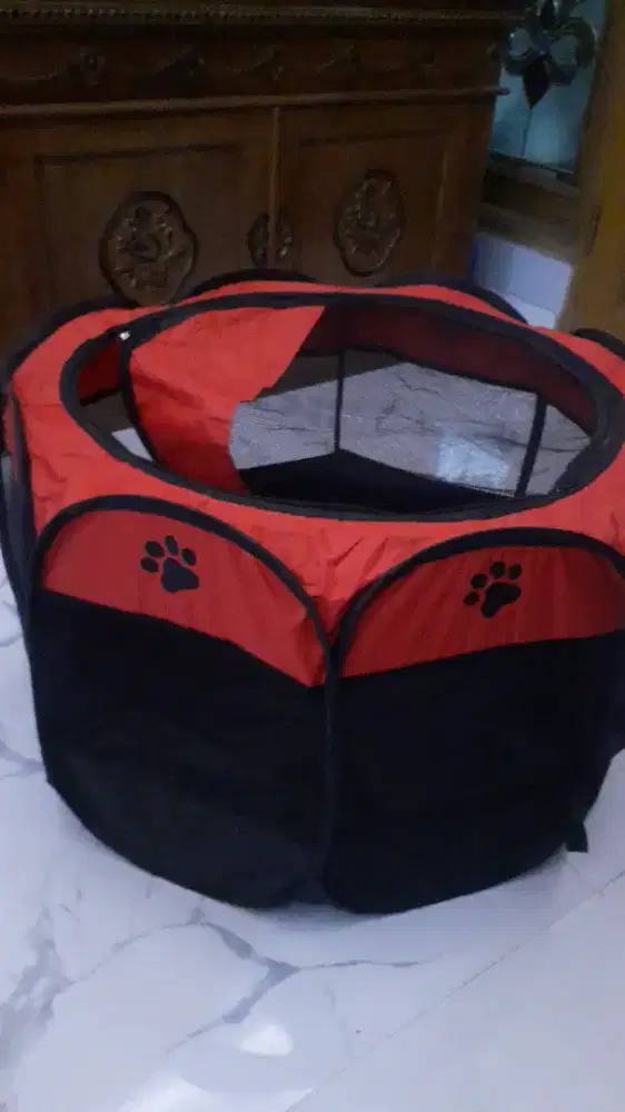 Kandang kucing bunda