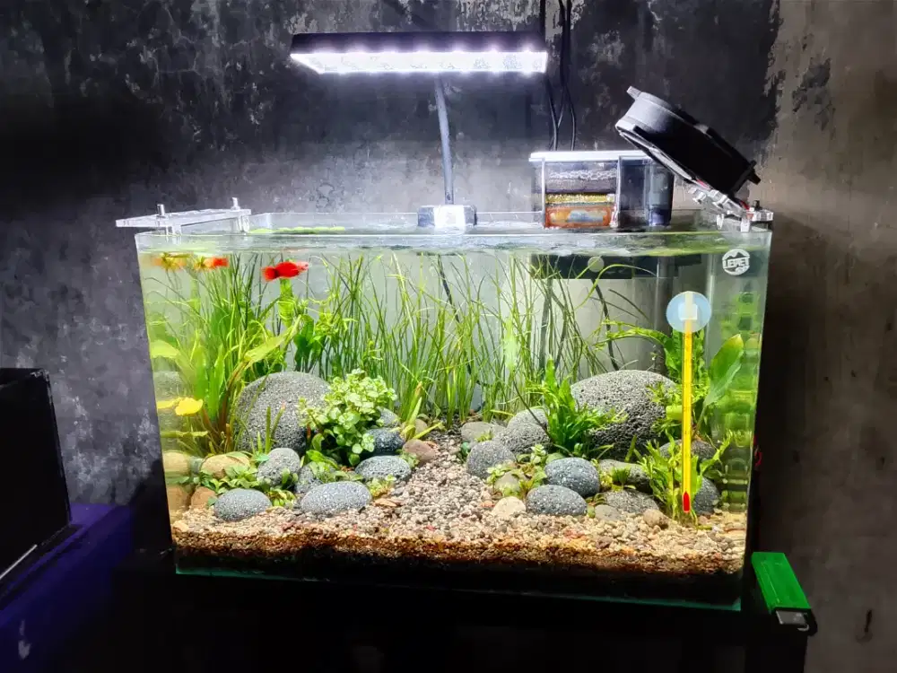 Aquarium set seperti di foto