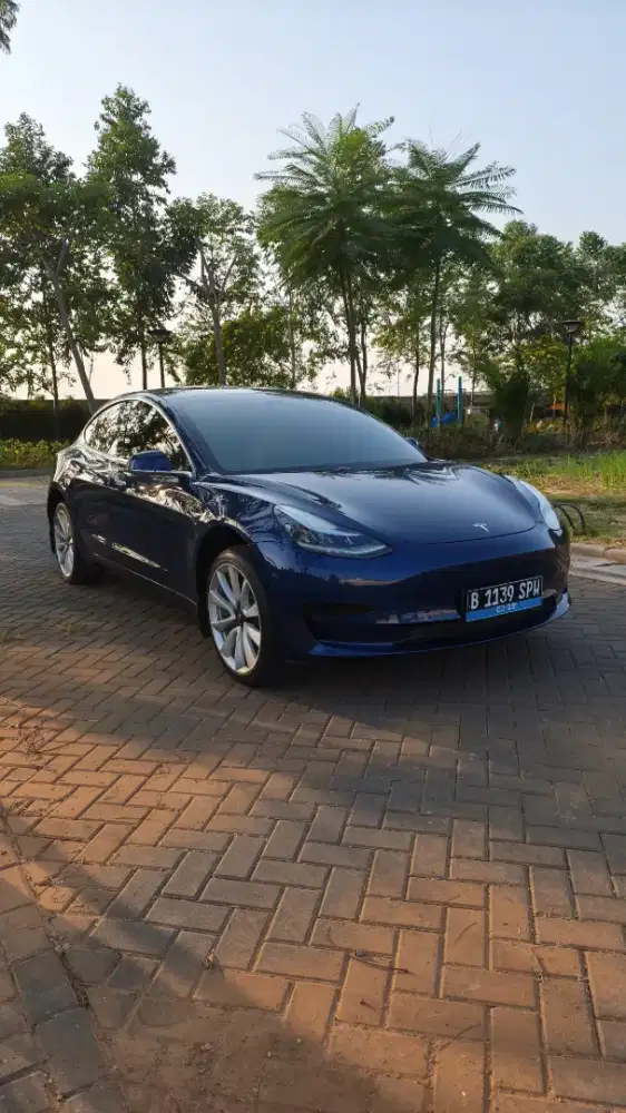 Tesla Model 3 Standard Plus 2021 NIK 2020 Ioniq BYD Jaecoo
