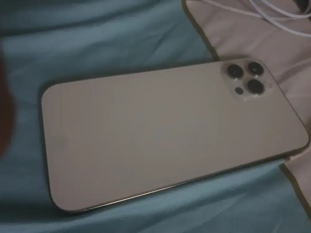 Iphone 12 promax