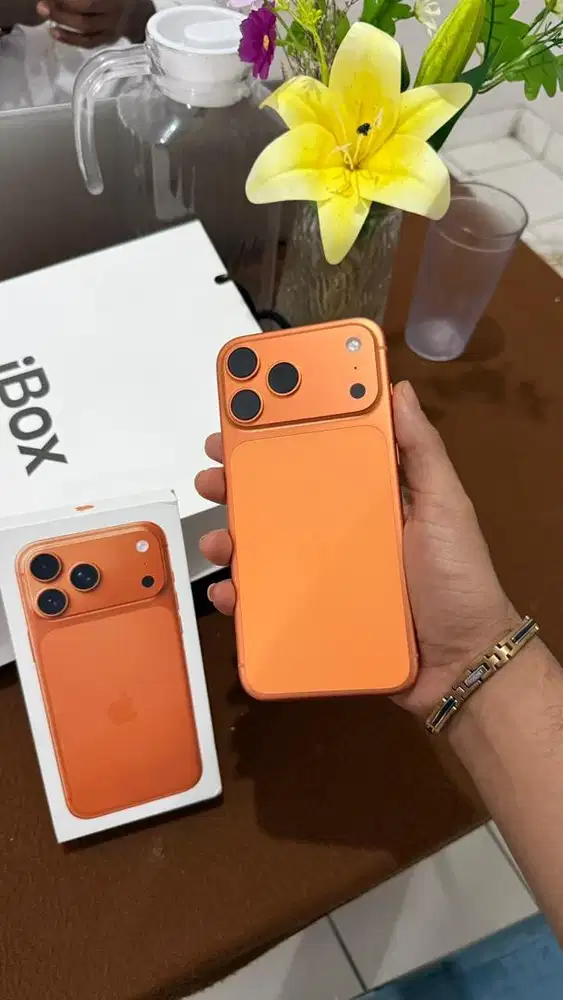 17 pro max 256GB