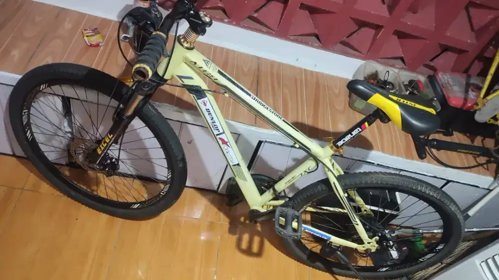 Mtb Atlantis size 26 commuter bike