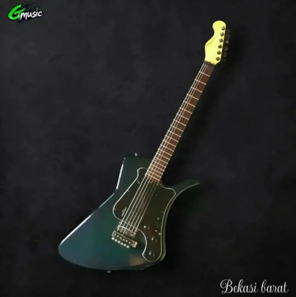 Gitar Hofner German