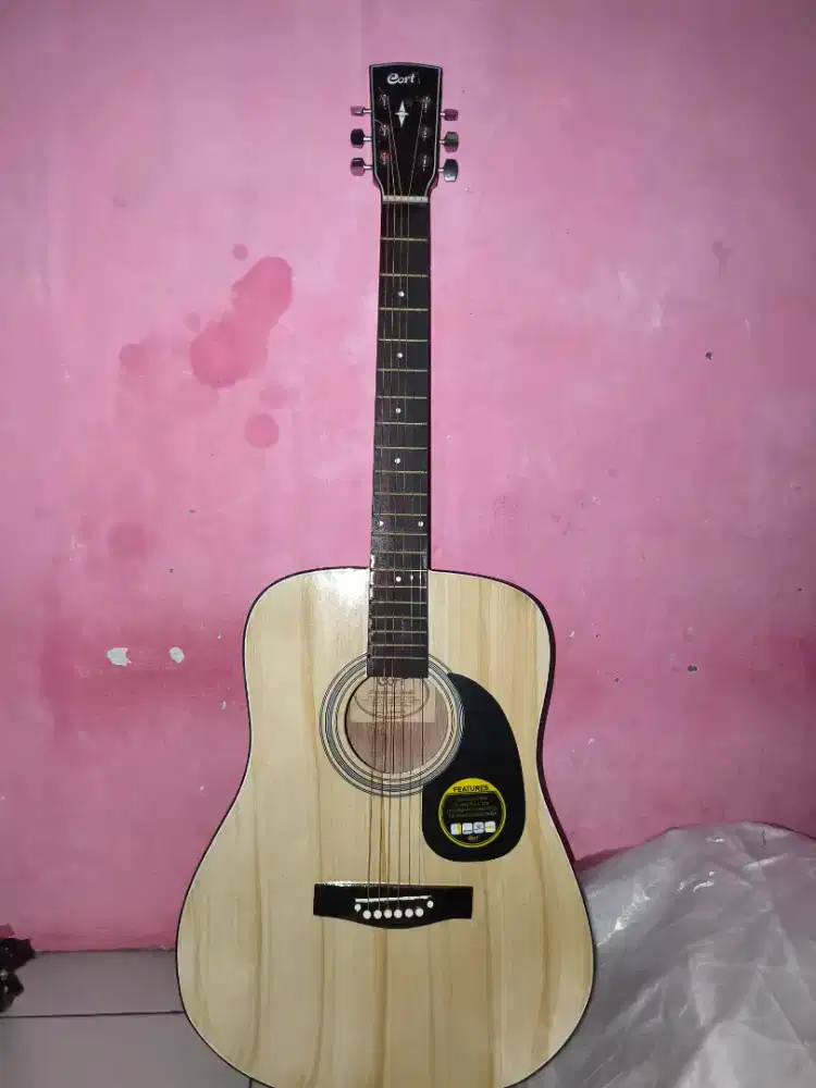 GITAR CORT TANAM BESI