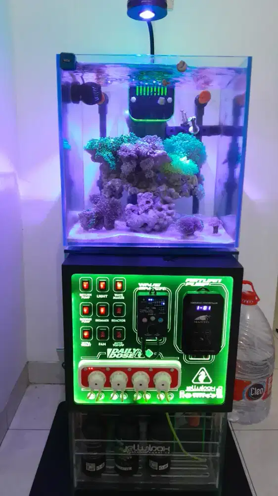 Nano Reef tank ( akuarium air laut)