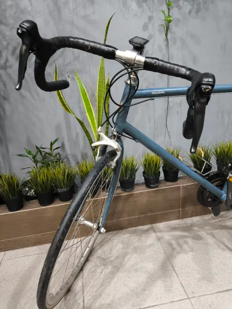 SEPEDA TOKYOBIKE CLASSIC SPORT ORIGIBAL