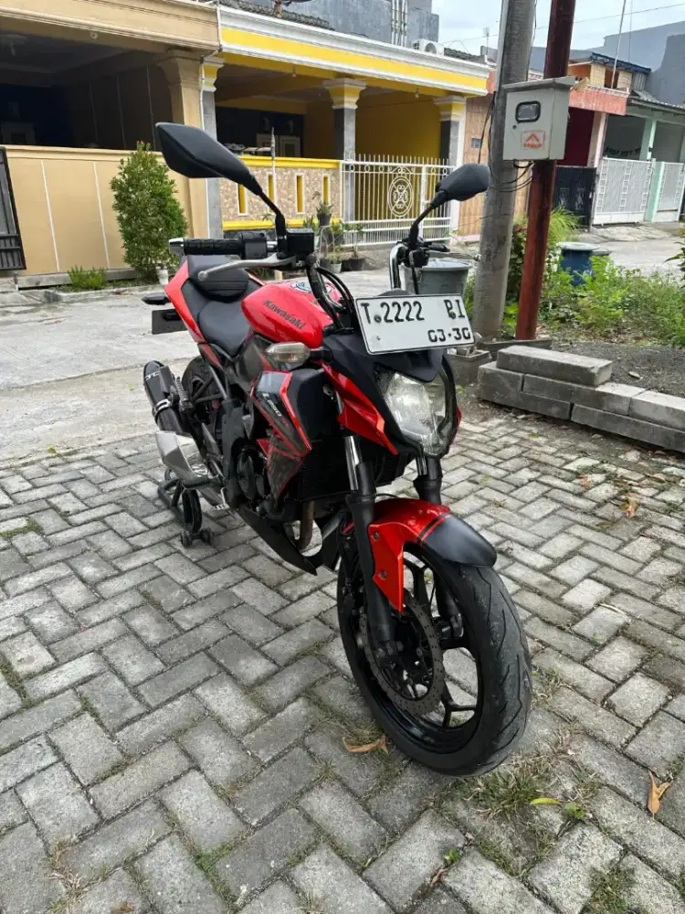 Kawasaki Z250SL Tahun 2015