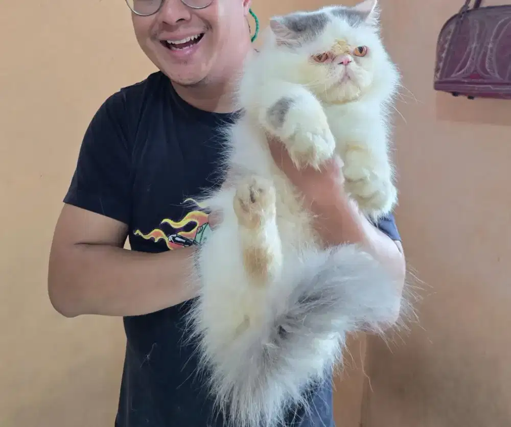 Sih ganteng PEAKNOSE