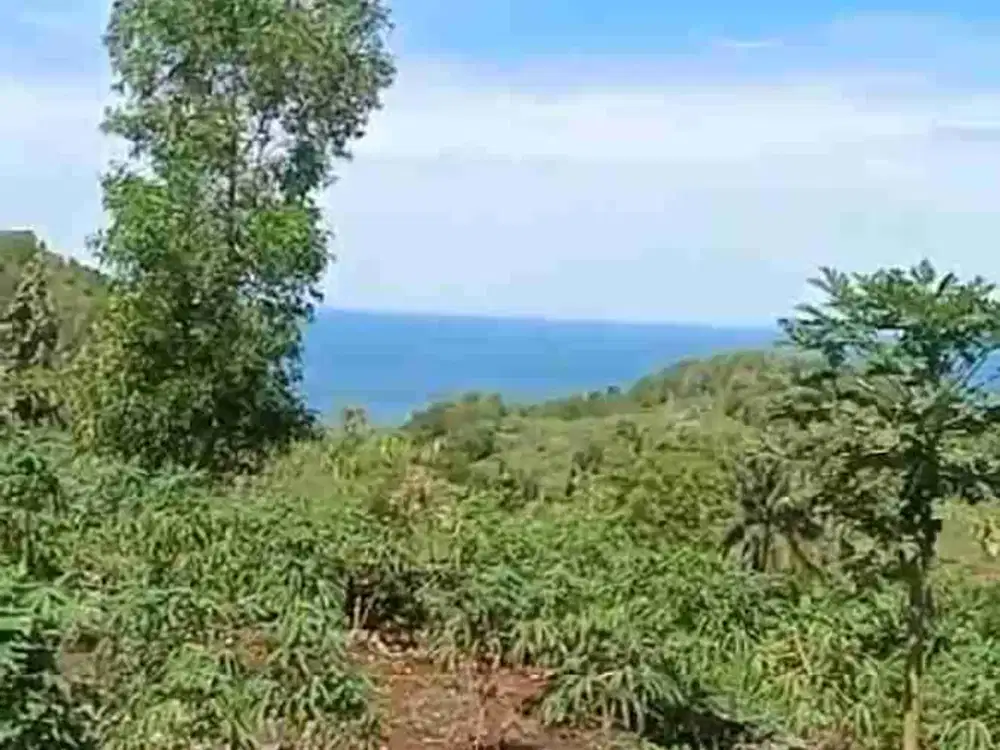 Dijual tanah luas Dekat dermaga pantai Gesing Bantul Yogya.