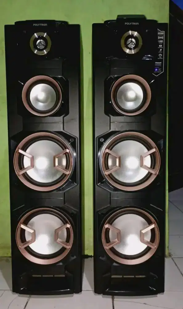 Speaker POLYTRON PAS-8EF22