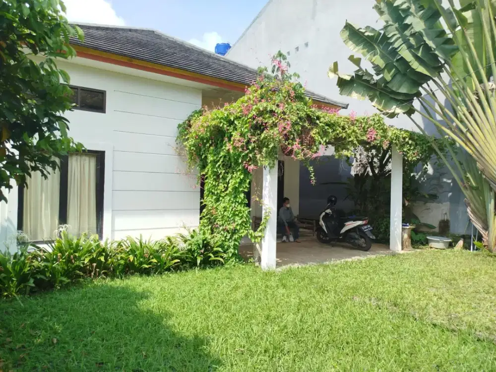 Rumah 1 lantai asri dan nyaman